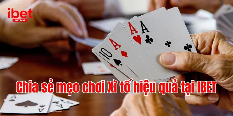 Xì Tố IBET | Chi Tiết Cách Chơi Bài Chuẩn Cho Tân Binh IBET 4 Chia sẻ mẹo chơi Xì tố hiệu quả tại IBET