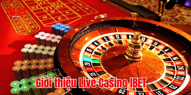 Giới thiệu Live Casino IBET