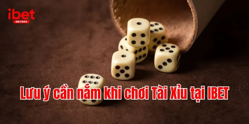 Tài Xỉu IBET | Quy Tắc & Bí Kíp Bách Thắng Từ Cao Thủ IBET 4 Lưu ý cần nắm khi chơi Tài Xỉu tại IBET
