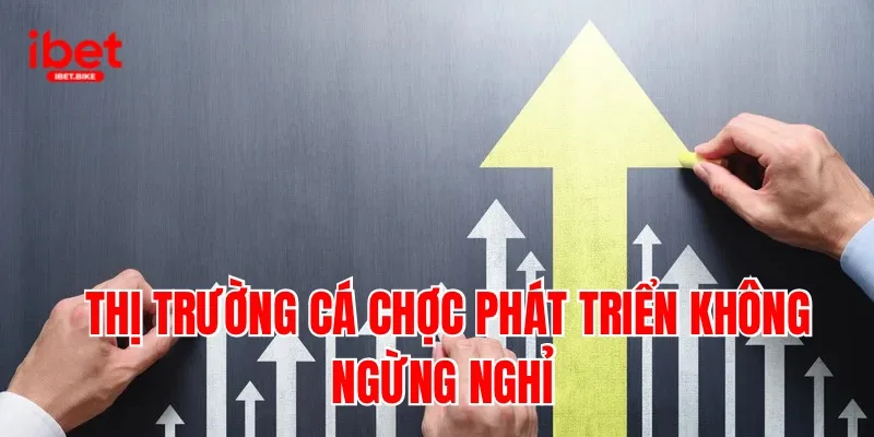 Cược Thể Thao Trực Tuyến Cực An Toàn Và Uy Tín Cùng IBET 2 Thị trường cá cược phát triển không ngừng nghỉ