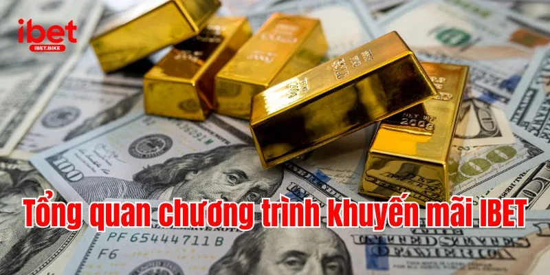 Cập Nhật Chương Trình Hot Nhất Khuyến Mãi IBET 1 Tổng quan chương trình khuyến mãi IBET